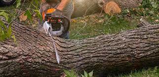 Best Soil Testing and Treatment  in Mountain Home Af, ID